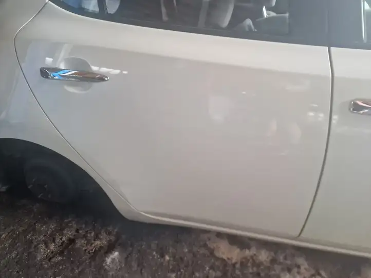 Nissan Leaf I (ZE0) (2010 - 2017) Задняя дверь — фото 1