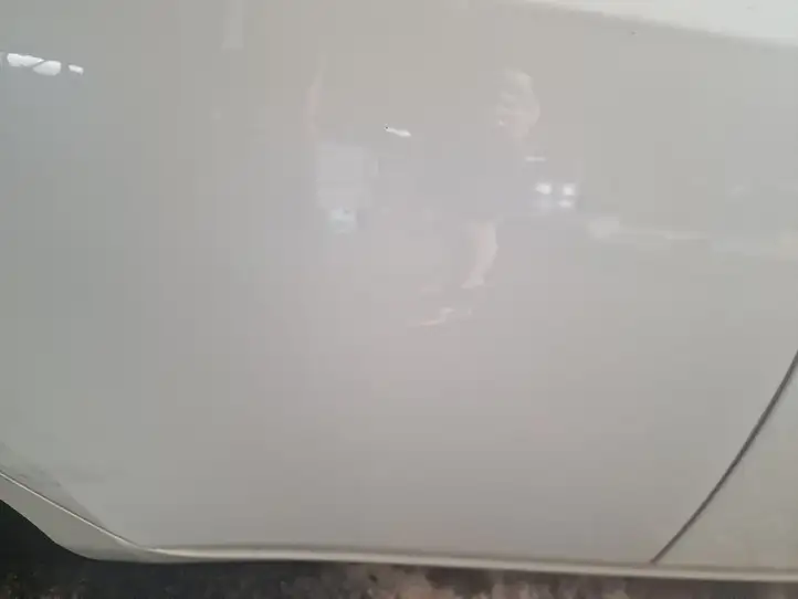 Nissan Leaf I (ZE0) (2010 - 2017) Задняя дверь — фото 3