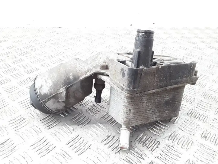 Fiat Croma (2005 - 2011) 5989070241 Кронштейн масляного фильтра — фото 2