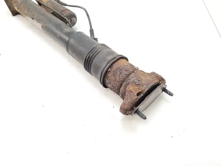 Mercedes-Benz GL X164 (2006 - 2012) Задний амортизатор (пневмоподвеска) — фото 7