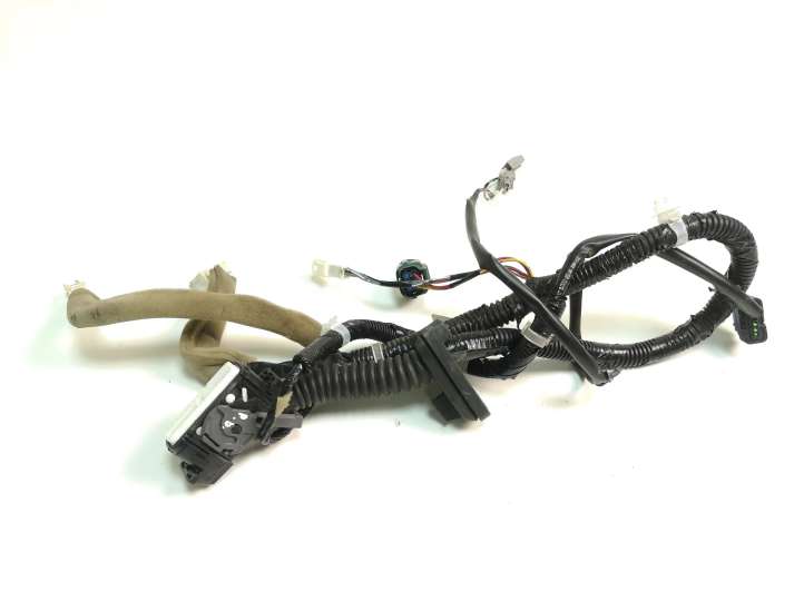 Nissan Juke I F15 (2010 - 2018)  241251KK1C Проводка передних дверей