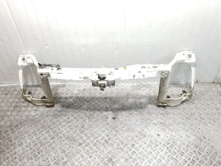 Ford Transit (2006 - 2013) Верхняя панель радиатора — фото 1
