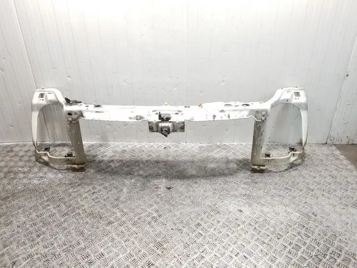 Ford Transit (2006 - 2013) Верхняя панель радиатора — фото 5