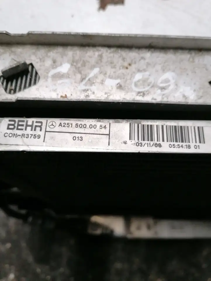 Mercedes-Benz GL X164 (2006 - 2012) A2515000704 Радиатор охлаждающей жидкости двигателя — фото 2