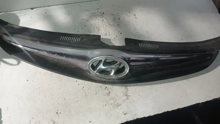 Hyundai i30 (2007 - 2012) Верхняя решетка радиатора — фото 1