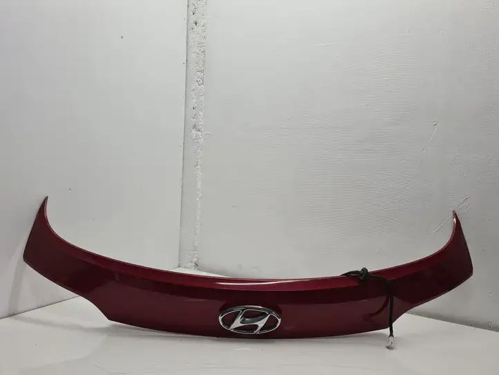 Hyundai Santa Fe (2012 - 2015) 873712W000 Подсветка номера — фото 1