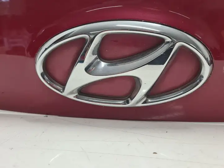 Hyundai Santa Fe (2012 - 2015) 873712W000 Подсветка номера — фото 4
