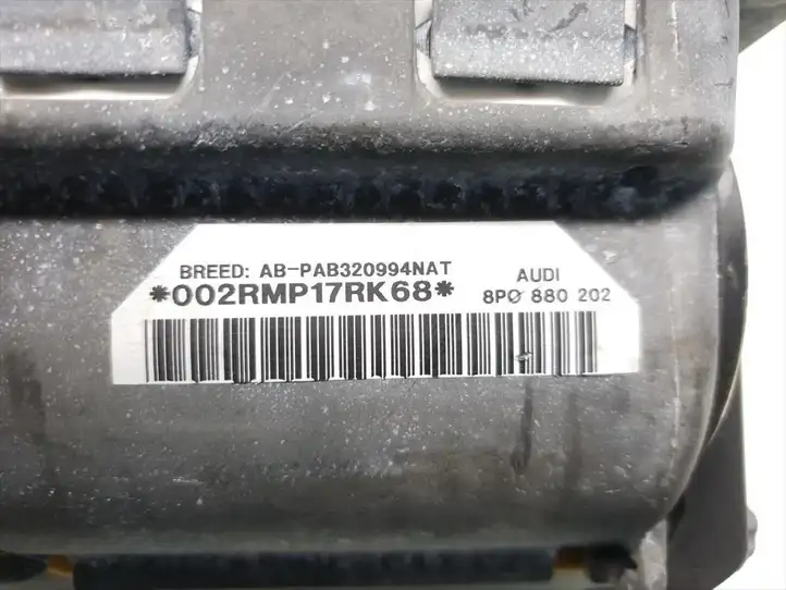 Audi A3/S3 8P (2003 - 2005) 8P0880202 Подушка безопасности пассажира — фото 5