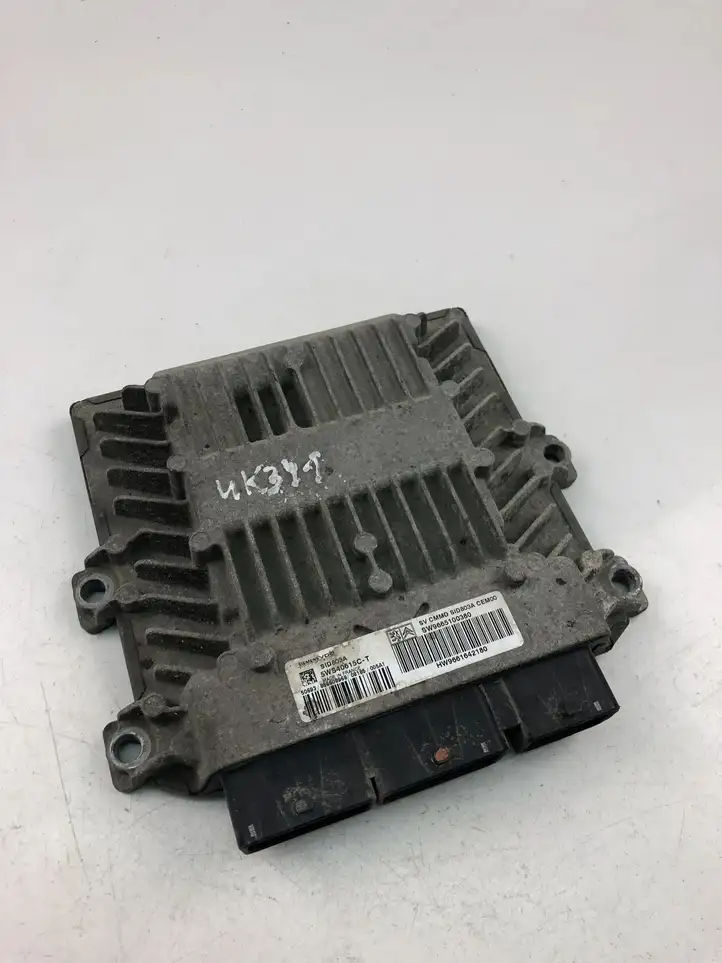 Citroen C4 I Picasso (2006 - 2013) 9665100380 Блок управления двигателем (ECU) — фото 1