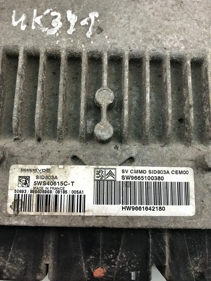 Citroen C4 I Picasso (2006 - 2013) 9665100380 Блок управления двигателем (ECU) — фото 4