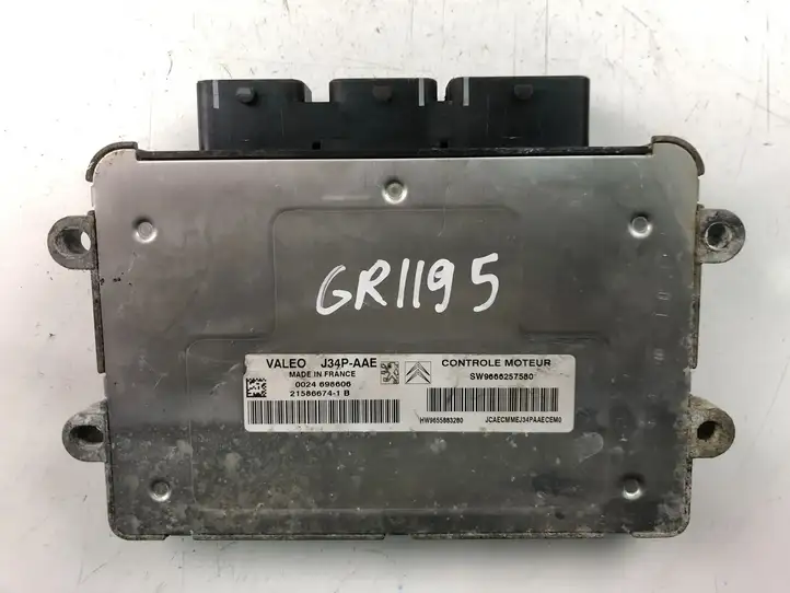 Peugeot 206 (1998 - 2012) 9666257580 Блок управления двигателем (ECU) — фото 4