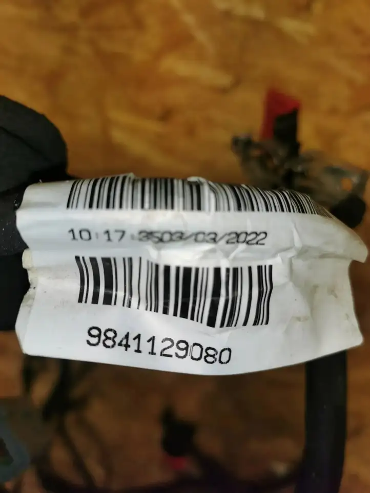 Opel Corsa F (2019 - ) 9841129080 Плюсовой провод аккумулятора — фото 8