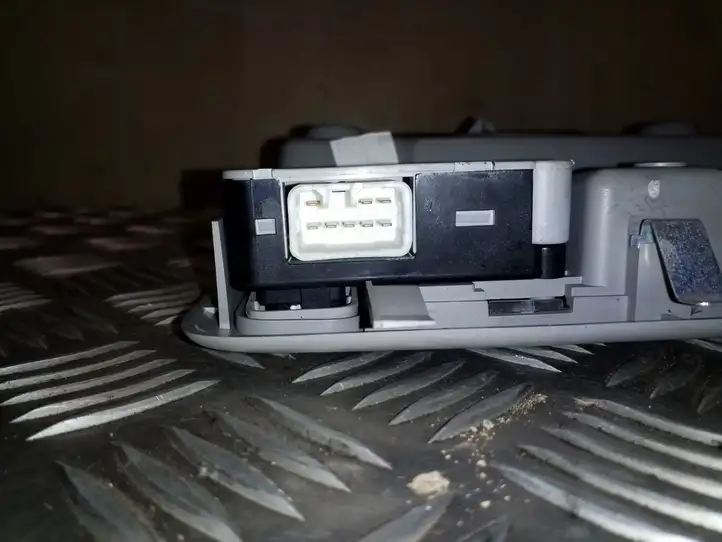 Toyota RAV 4 (XA20) (2000 - 2005) 10000309 Передняя подсветка — фото 4