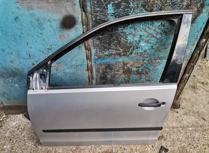 Volkswagen Polo (2005 - 2009) Дверь — фото 1