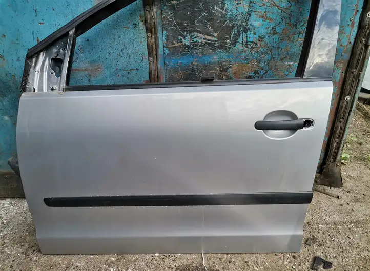 Volkswagen Polo (2005 - 2009) Дверь — фото 2