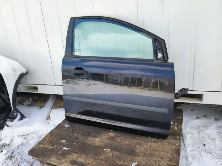 Ford Focus (2005 - 2008) Дверь — фото 1