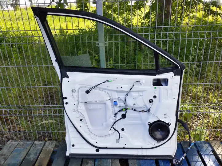 Toyota RAV 4 (XA50) (2018 - ) Дверь — фото 3