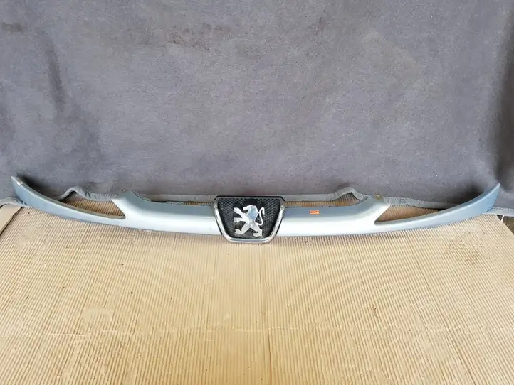 Peugeot 206 (1998 - 2012) 9628691277 Верхняя решетка радиатора — фото 1