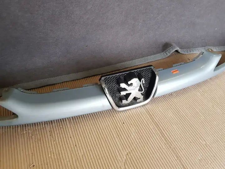 Peugeot 206 (1998 - 2012) 9628691277 Верхняя решетка радиатора — фото 9
