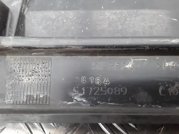Lancia Ypsilon (2006 - 2011) 51725089 Дефлектор воздуха — фото 3