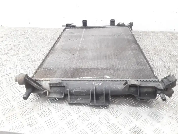 Renault Megane II (2002 - 2005) 8200115542 Радиатор охлаждающей жидкости двигателя — фото 3