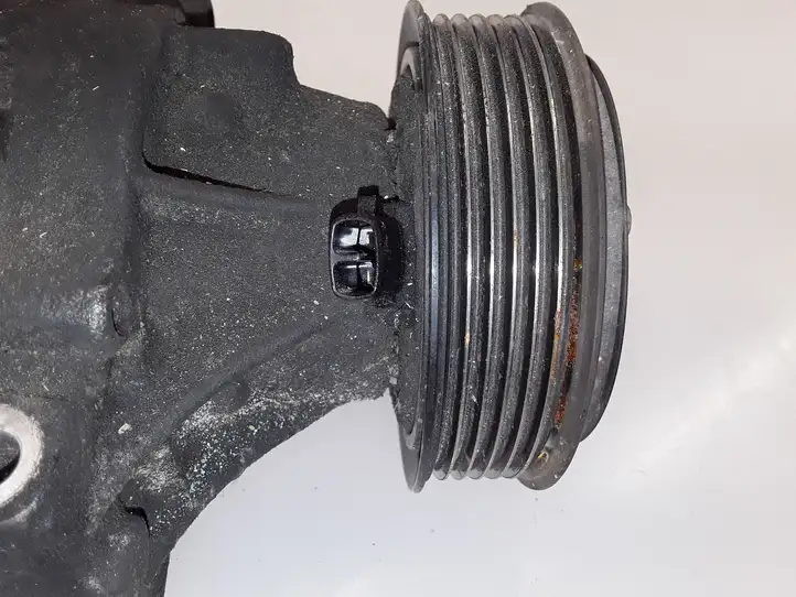 Lancia Musa (2007 - 2012) 5A7975600 Компрессор (насос) кондиционера воздуха — фото 7