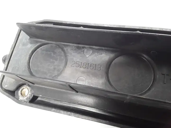Chevrolet Aveo (2008 - 2011) 25181613 Крышка двигателя декоративная — фото 3