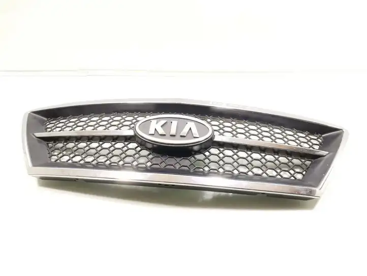 Kia Sorento (2002 - 2006) 86350-3E010 Передняя решетка — фото 1