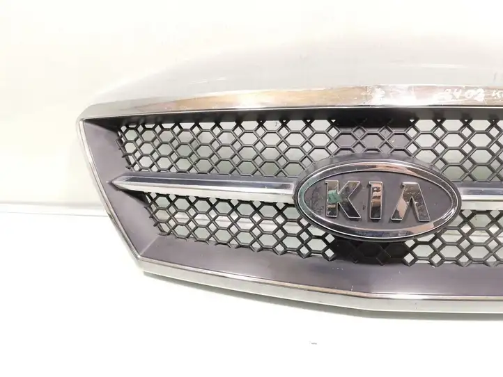 Kia Sorento (2002 - 2006) 86350-3E010 Передняя решетка — фото 3
