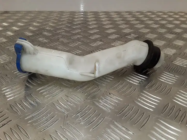 Hyundai ix 55 (2006 - 2012) Горловина бачка омывателя — фото 4