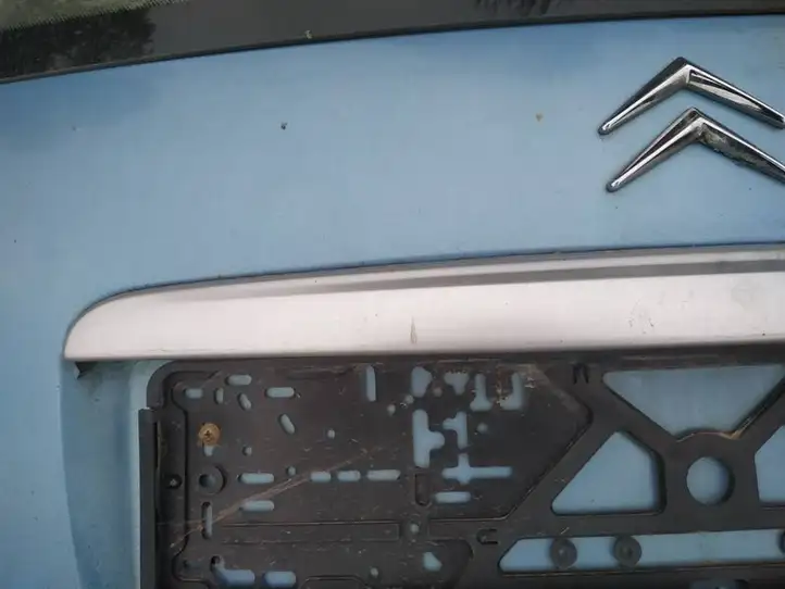 Citroen C3 (2002 - 2009) Подсветка номера — фото 2