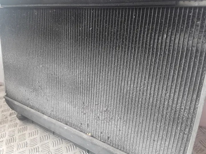 Toyota RAV 4 (XA20) (2000 - 2005) 284285002114 Радиатор охлаждающей жидкости двигателя — фото 3