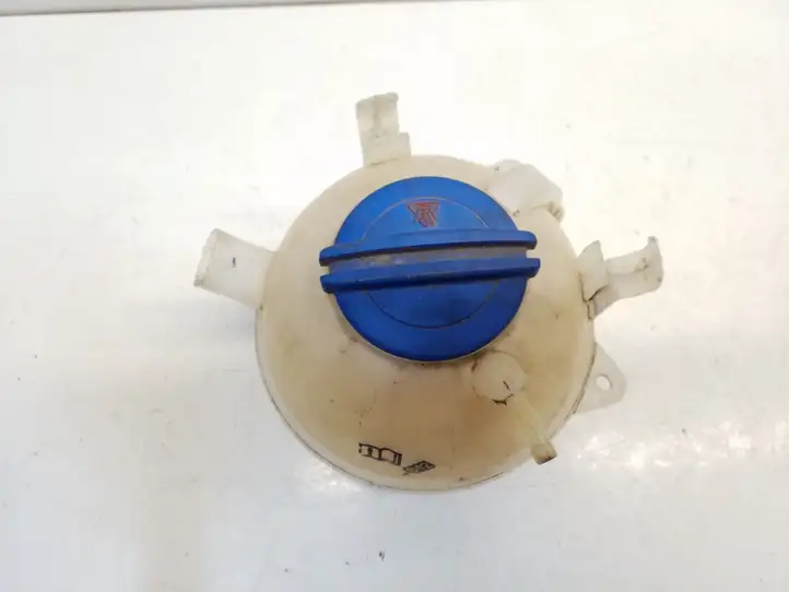Volkswagen PASSAT B7 USA (2012 - 2016) Расширительный бачок — фото 3
