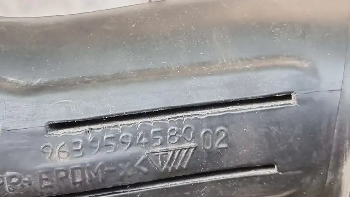 Citroen C3 (2002 - 2009) 9639594580 Трубка подачи воздуха — фото 2