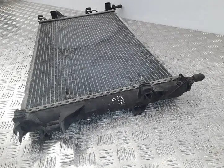 Renault Espace - Grand espace IV (2004 - 2014) Радиатор охлаждающей жидкости двигателя — фото 6