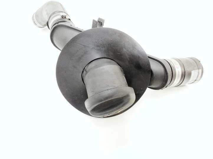 Peugeot 307 (2001 - 2005)  9638323780 Патрубок маслозаливной горловины