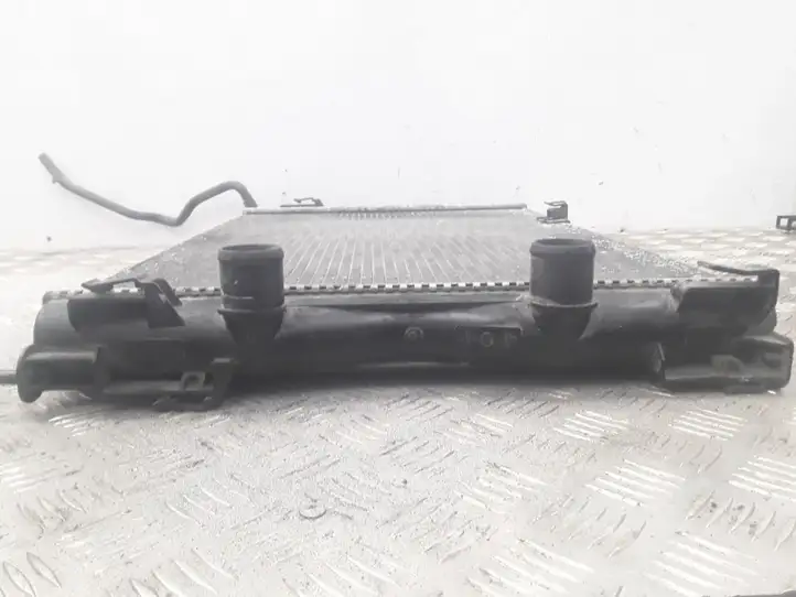 Nissan Qashqai (2006 - 2010) 21410JD71B Радиатор охлаждающей жидкости двигателя — фото 4