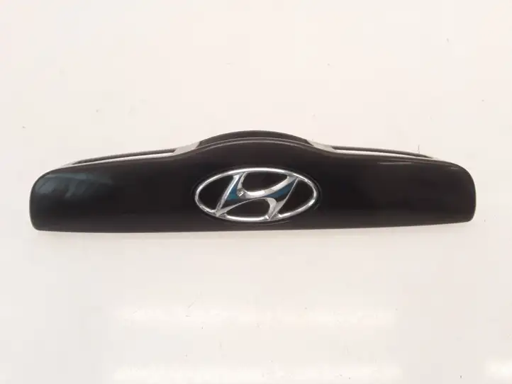 Hyundai Getz (2002 - 2005) 873101C000 Подсветка номера — фото 1