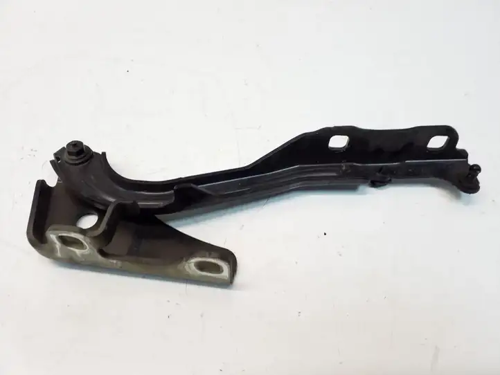 Chrysler 200 (2015 - ) 719AA Петли капота — фото 1