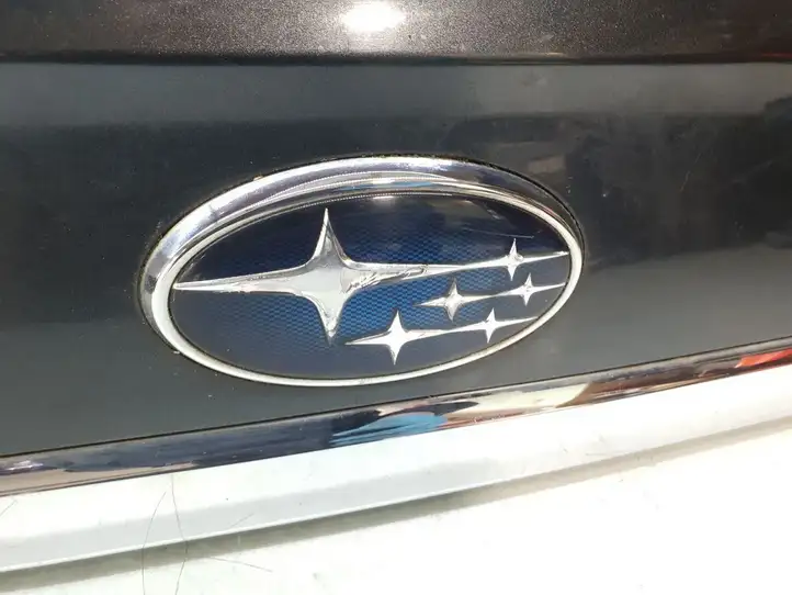 Subaru Legacy (2003 - 2009) C08010035 Подсветка номера — фото 2