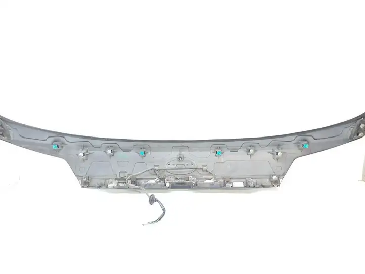 Subaru Legacy (2003 - 2009) C08010035 Подсветка номера — фото 4
