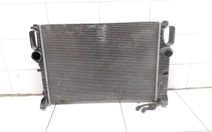 Mercedes-Benz E W211 (2002 - 2009) A2115003102 Радиатор охлаждающей жидкости двигателя — фото 1