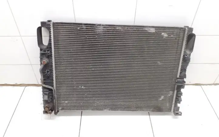 Mercedes-Benz E W211 (2002 - 2009) A2115003102 Радиатор охлаждающей жидкости двигателя — фото 4