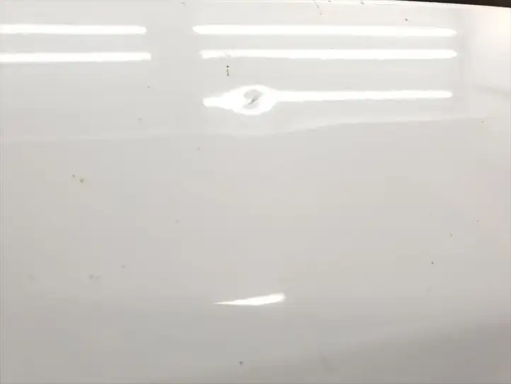 Renault Scenic II - Grand scenic II (2006 - 2009) Задняя дверь — фото 3