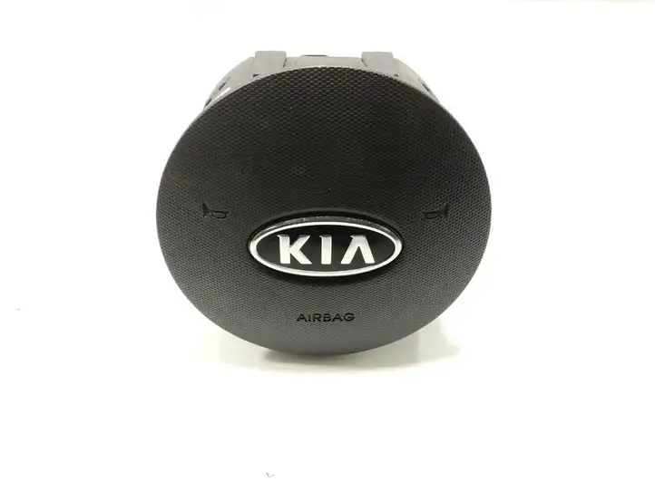 Kia Rio (2009 - 2011) 569001G450 Подушка безопасности руля — фото 1