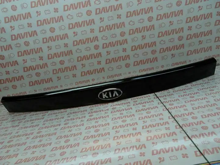 Kia Carens II (2006 - 2012) 87311-1D000 Подсветка номера — фото 1