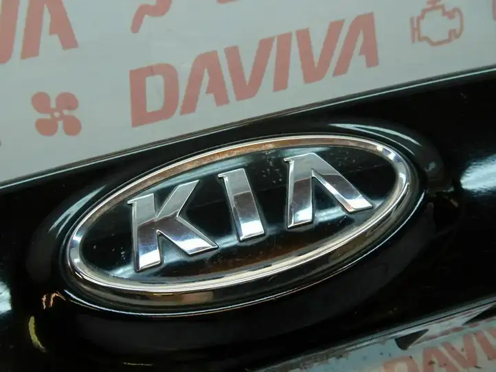 Kia Carens II (2006 - 2012) 87311-1D000 Подсветка номера — фото 10