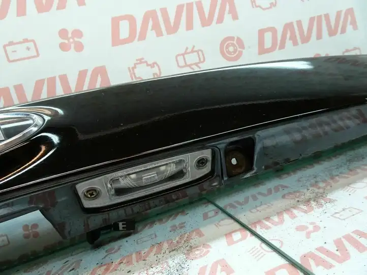 Kia Carens II (2006 - 2012) 87311-1D000 Подсветка номера — фото 11