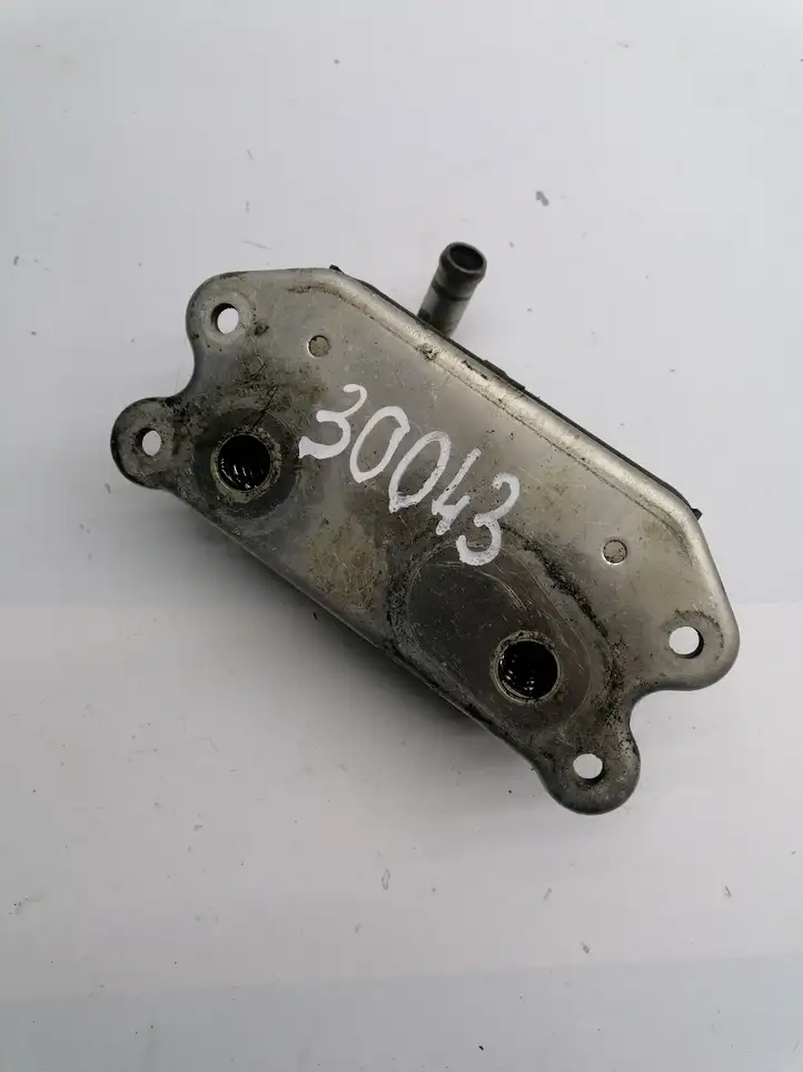 Volvo V70 (2000 - 2004) 038115389B Кронштейн масляного фильтра — фото 4