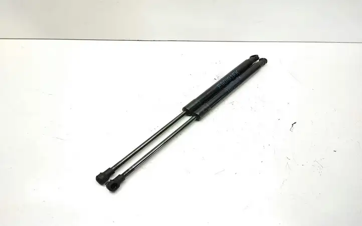 BMW 3 E90 E91 (2005 - 2012) 7060550 Газовый упор капота — фото 1